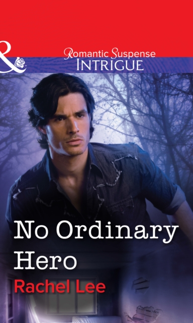 No Ordinary Hero, EPUB eBook