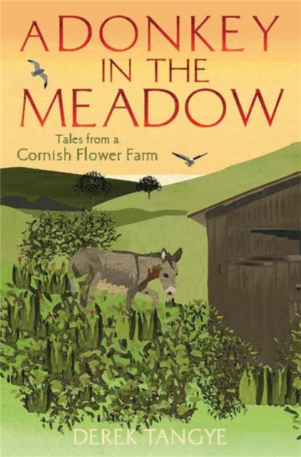 A Donkey in the Meadow : Tales from a Cornish Flower Farm, Paperback / softback Book