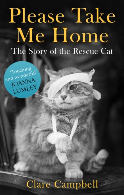 Please Take Me Home : The Story of the Rescue Cat, Paperback / softback Book
