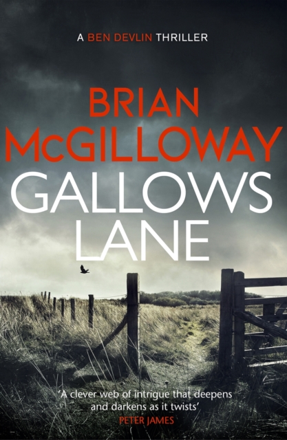 Gallows Lane : An ex con and drug violence collide in the borderlands of Ireland..., EPUB eBook