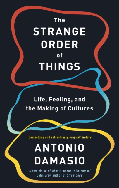 The Strange Order Of Things : Life, Feeling and the Making of Cultures, EPUB eBook