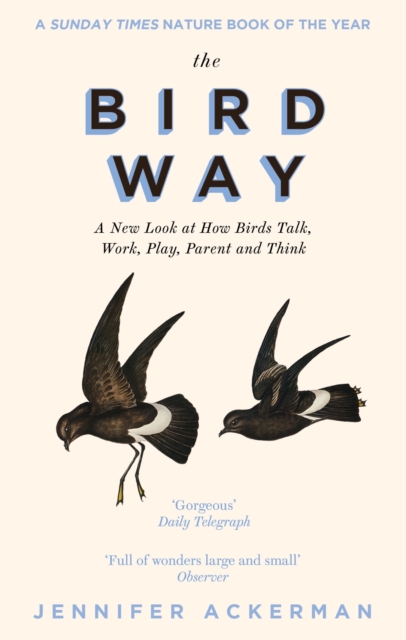 The Bird Way : A New Look at How Birds Talk, Work, Play, Parent, and Think, EPUB eBook