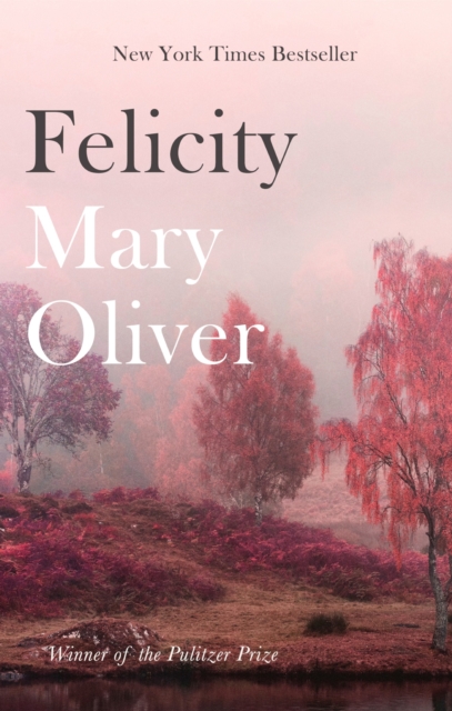 Felicity, EPUB eBook