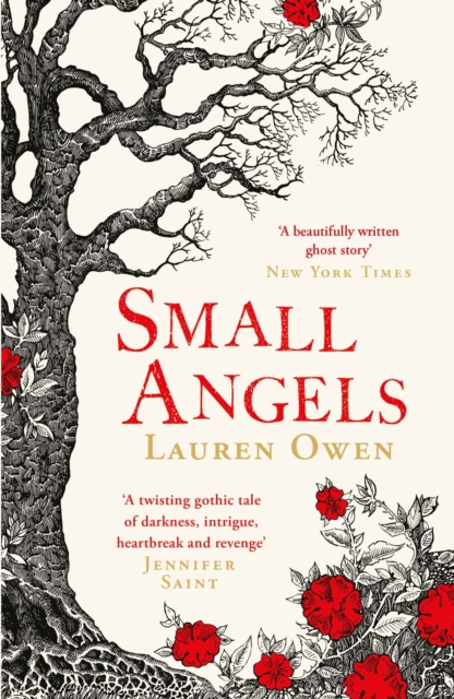 Small Angels : 'A twisting gothic tale of darkness, intrigue, heartbreak and revenge' Jennifer Saint, EPUB eBook