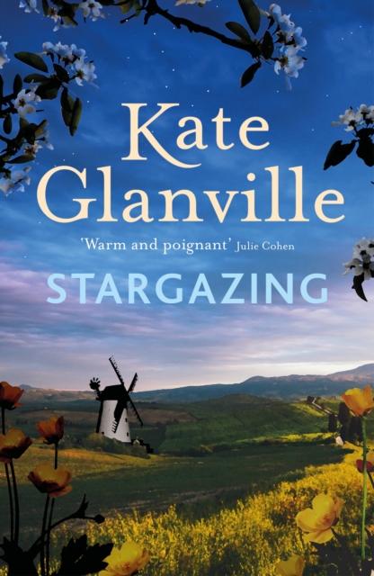Stargazing : A captivating and charming read of love and family secrets to curl up with this autumn, Paperback / softback Book