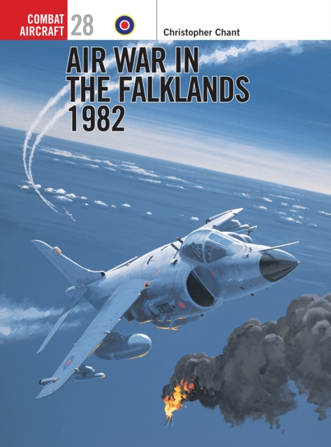 Air War in the Falklands 1982, PDF eBook