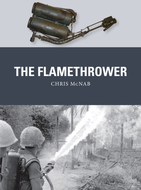 The Flamethrower, PDF eBook