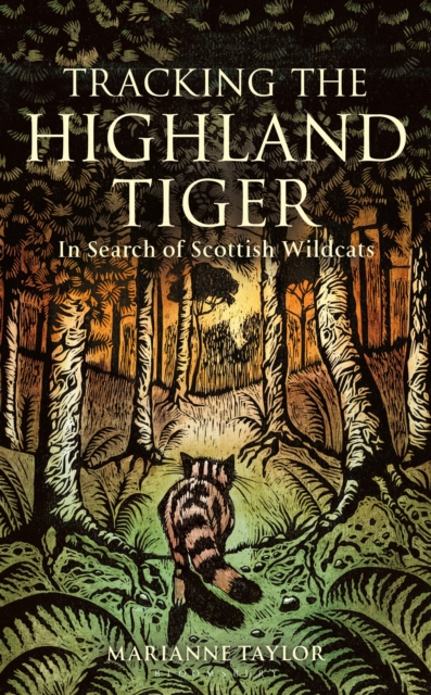 Tracking The Highland Tiger : In Search of Scottish Wildcats, Hardback Book