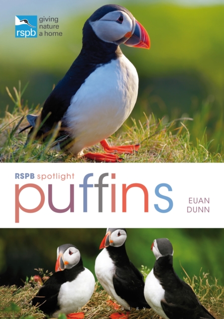 RSPB Spotlight: Puffins, Paperback Book