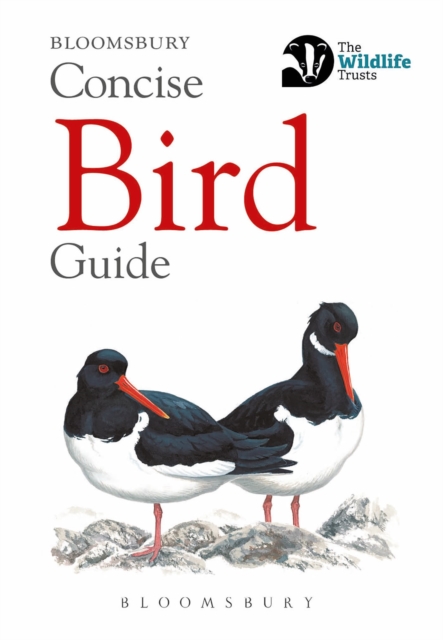 Concise Bird Guide, Paperback Book