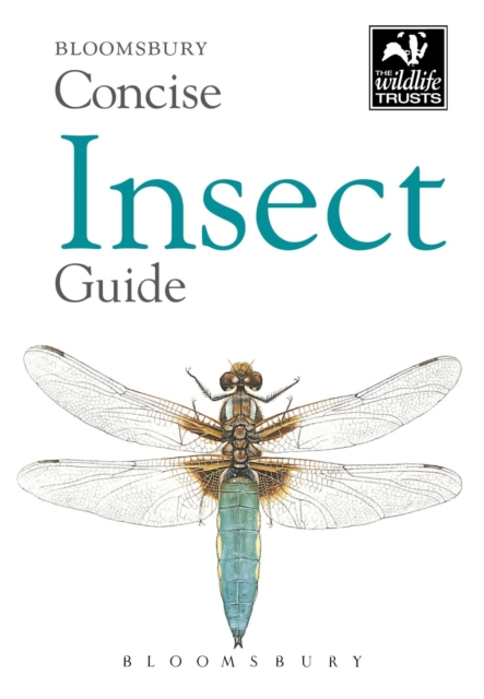 Concise Insect Guide, Paperback Book