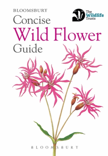 Concise Wild Flower Guide, Paperback Book