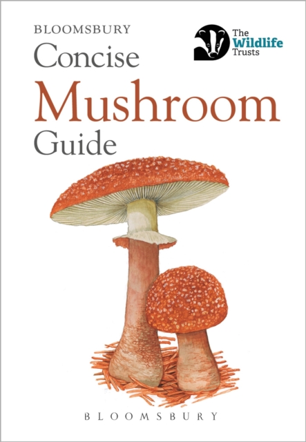 Concise Mushroom Guide, Paperback Book