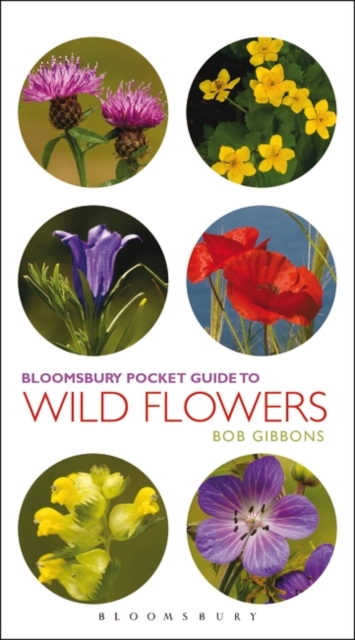 Pocket Guide To Wild Flowers, EPUB eBook
