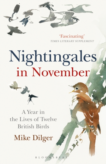 Nightingales in November : A Year in the Lives of Twelve British Birds, EPUB eBook