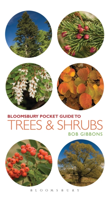 Pocket Guide to Trees and Shrubs, PDF eBook