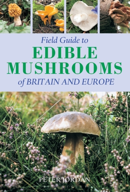 Field Guide To Edible Mushrooms Of Britain And Europe, EPUB eBook