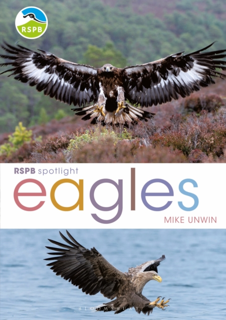 RSPB Spotlight: Eagles, Paperback / softback Book