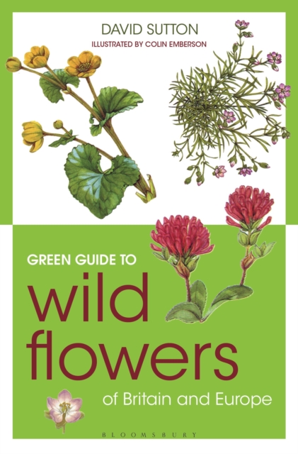 Green Guide to Wild Flowers Of Britain And Europe, Paperback / softback Book