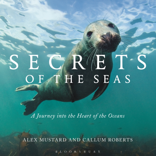 Secrets of the Seas : A Journey into the Heart of the Oceans, EPUB eBook