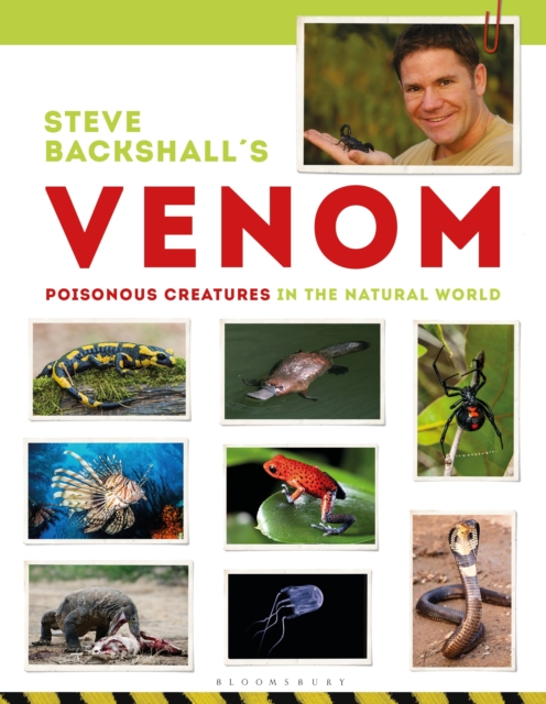 Steve Backshall's Venom, Paperback / softback Book