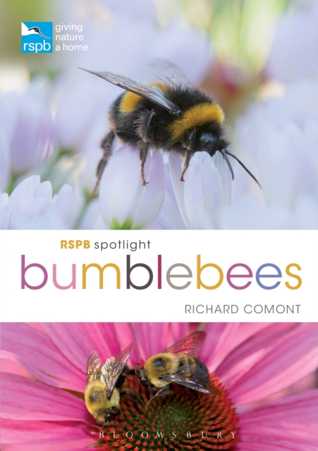 RSPB Spotlight Bumblebees, EPUB eBook