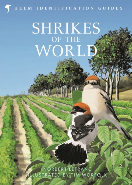 Shrikes of the World : BB/BTO BIRD BOOK OF THE YEAR 2023, Hardback Book
