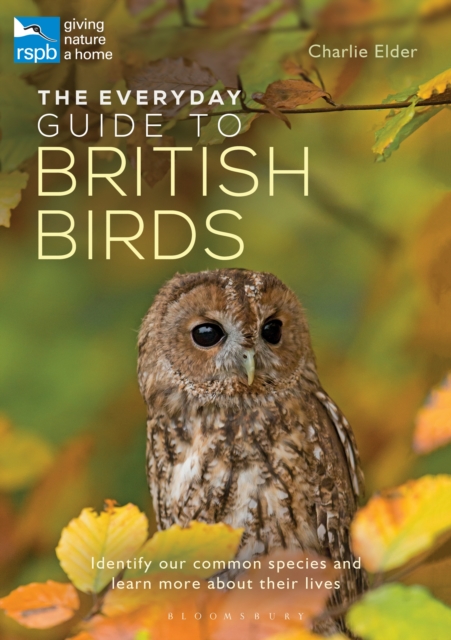 The Everyday Guide to British Birds : Identify Our Common Species and Learn More About Their Lives, EPUB eBook