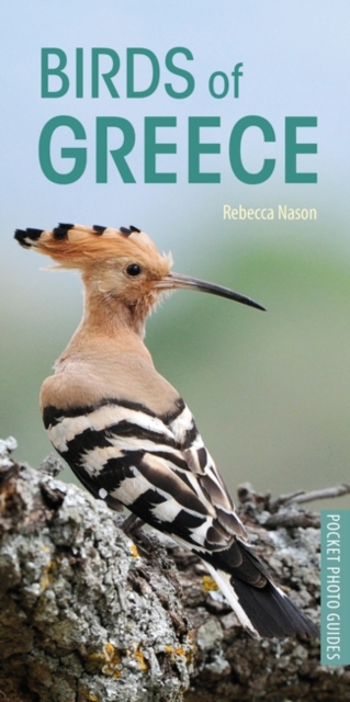 Birds of Greece, Paperback / softback Book