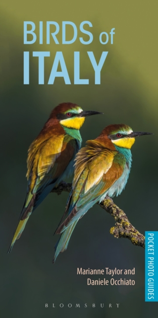 Birds of Italy, Paperback / softback Book