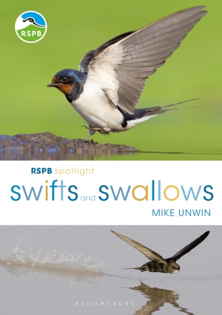 RSPB Spotlight Swifts and Swallows, EPUB eBook