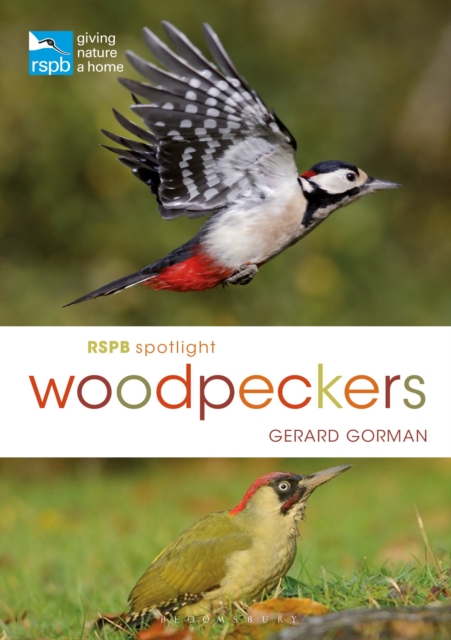 Rspb Spotlight Woodpeckers, Paperback / softback Book