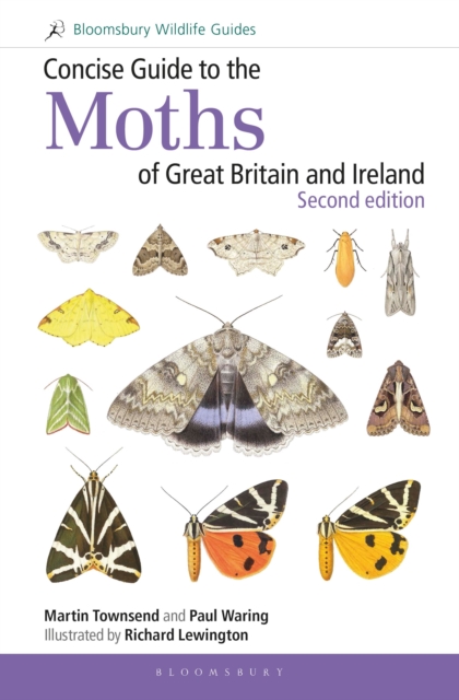 Concise Guide to the Moths of Great Britain and Ireland: Second edition, Spiral bound Book