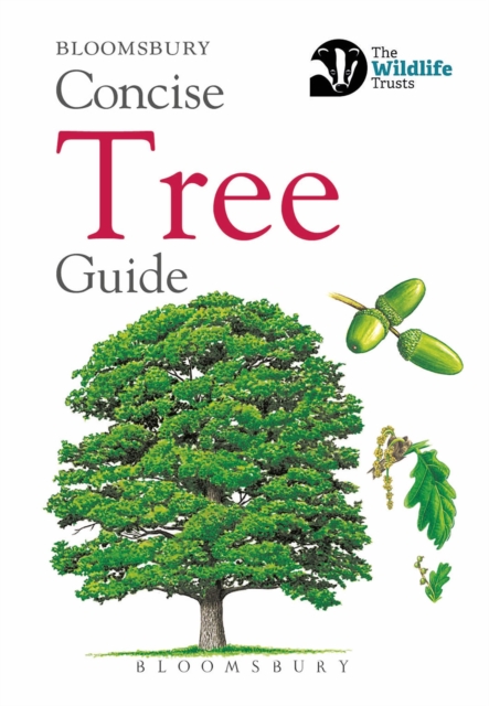 Concise Tree Guide, Paperback / softback Book