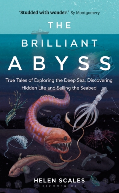 The Brilliant Abyss : True Tales of Exploring the Deep Sea, Discovering Hidden Life and Selling the Seabed, Hardback Book