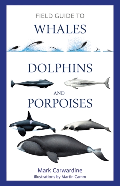 Field Guide to Whales, Dolphins and Porpoises, Paperback / softback Book