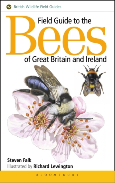 Field Guide to the Bees of Great Britain and Ireland, PDF eBook