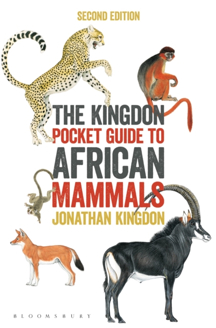 The Kingdon Pocket Guide to African Mammals, Paperback / softback Book