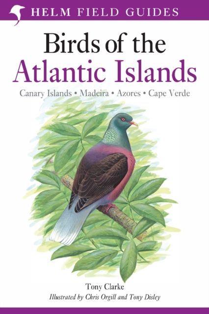 A Field Guide to the Birds of the Atlantic Islands : Canary Islands, Madeira, Azores, Cape Verde, PDF eBook