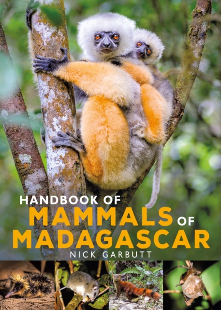 Handbook of Mammals of Madagascar, Hardback Book