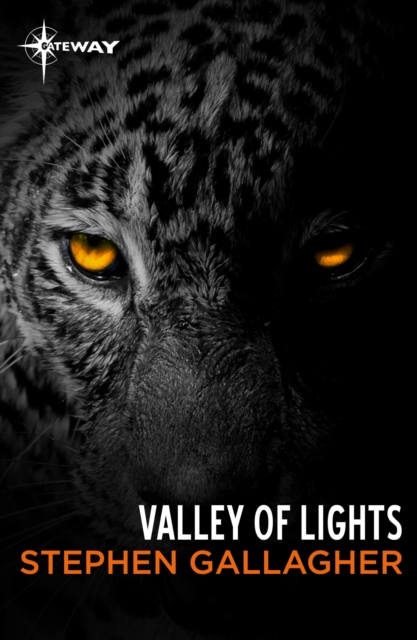 Valley of Lights, EPUB eBook