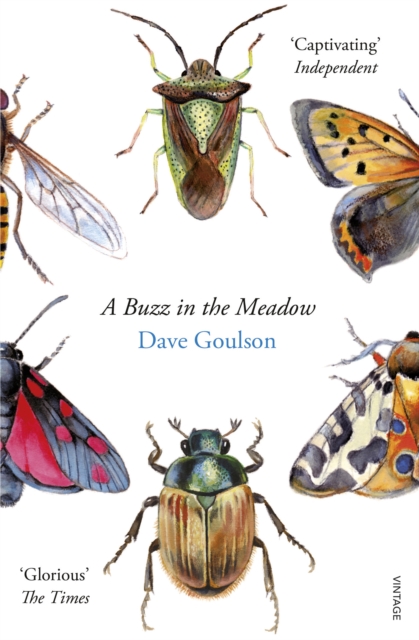 A Buzz in the Meadow, EPUB eBook