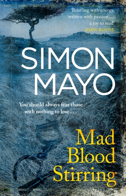 Mad Blood Stirring, EPUB eBook