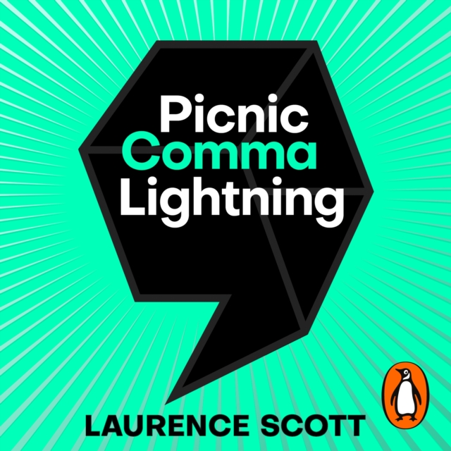 Picnic Comma Lightning : In Search of a New Reality, eAudiobook MP3 eaudioBook