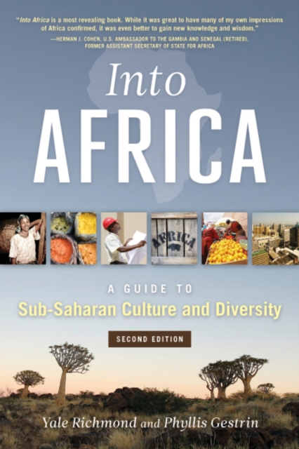 Into Africa : A Guide to Sub-Saharan Culture and Diversity, EPUB eBook