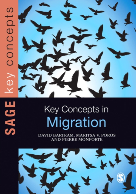 Key Concepts in Migration, PDF eBook