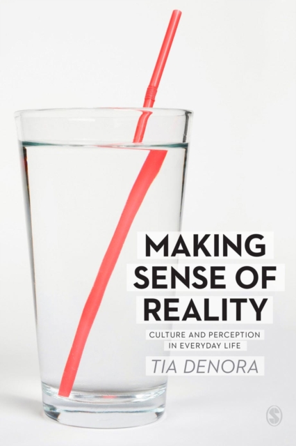 Making Sense of Reality : Culture and Perception in Everyday Life, EPUB eBook