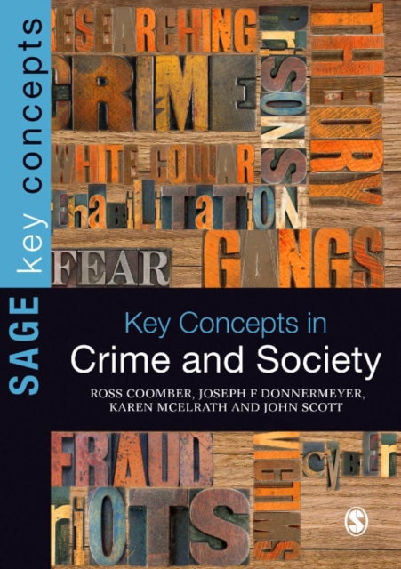 Key Concepts in Crime and Society, EPUB eBook