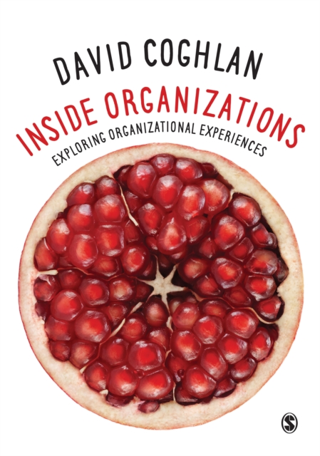 Inside Organizations : Exploring Organizational Experiences, EPUB eBook