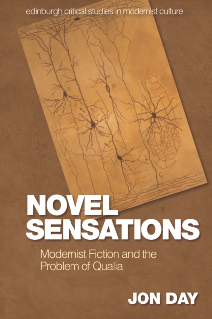 Novel Sensations : Modernist Fiction and the Problem of Qualia, Hardback Book